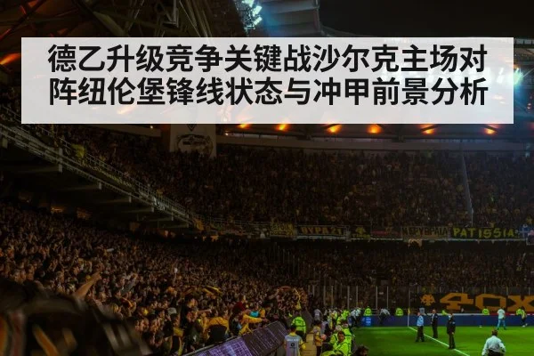 soccer stadium crowd night